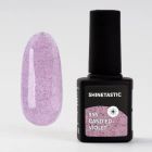 Shinetastic  /  955-961