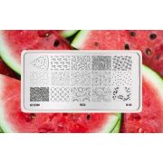 Пластина для стемпинга Go! Stamp 192 Fresh
