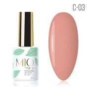 C-03. Апельсиновый кекс