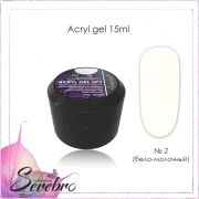 Acryl Gel «Serebro collection» №02, 15 мл