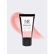 NR PolyGel 008 (30 гр)