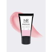 NR PolyGel 071 (30 гр)