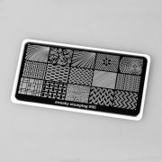 Swanky Stamping Пластина  05