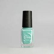 Лак для стемпинга Swanky Stamping S24 Тиффани 6мл