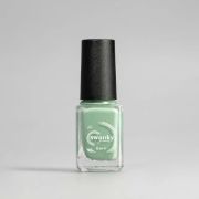 Лак для стемпинга Swanky Stamping S29 Фисташковый 6мл*