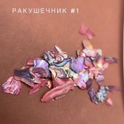 Bloom Ракушечник для дизайна №01