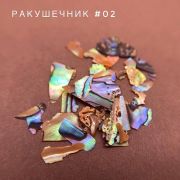 Bloom Ракушечник для дизайна №02