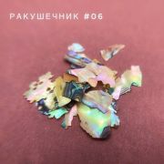 Bloom Ракушечник для дизайна №06