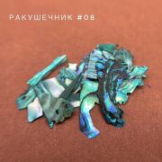 Bloom Ракушечник для дизайна №08