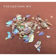 Bloom Ракушечник для дизайна №11